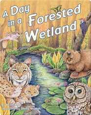 A Day In A Forested Wetland