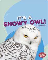 It's a Snowy Owl!