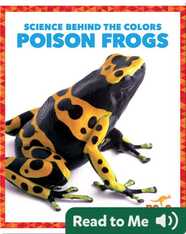 Science Behind the Colors: Poison Frogs
