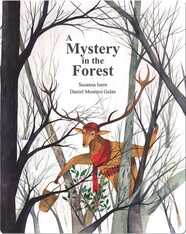A Mystery in the Forest