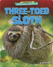 Awesome Animals: Three-Toed Sloth