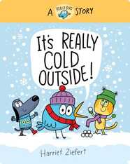 It's Really Cold Outside: A Really Bird Story