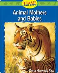 Animals Mothers and Babies