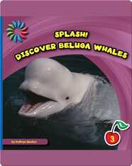 Discover Beluga Whales