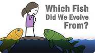 Which Fish Did We Evolve From?