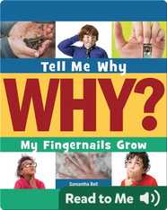 My Fingernails Grow