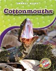Cottonmouths