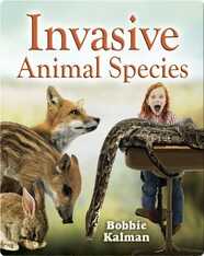 Invasive Animal Species