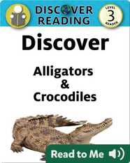Discover Alligators & Crocodiles