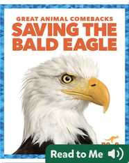 Saving the Bald Eagle