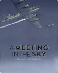 A Meeting in the Sky