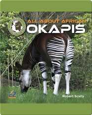 All About African Okapis