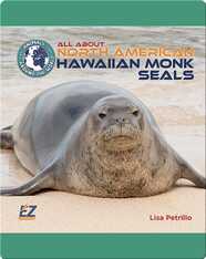All About North American Hawaiian Monk Seals
