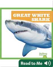 Shark Bites: Great White Shark