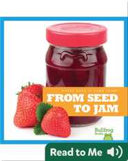 Where Does It Come From?: From Seed to Jam
