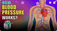 The Dr. Binocs Show: How Blood Pressure Works