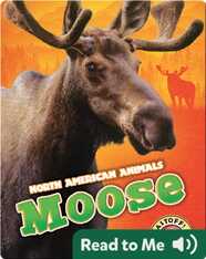 North American Animals: Moose