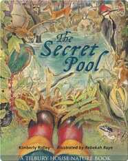 The Secret Pool
