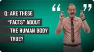 Five False ‘Facts’ About the Human Body