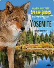 Walk on the Wild Side: Yosemite