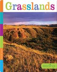 Grassland Food Webs in Action Book by Paul Fleisher | Epic