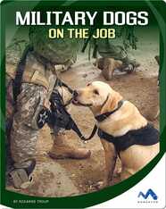 Military Dogs on the Job