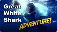 Jonathan Bird's Blue World: Great White Shark Adventure!