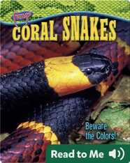 Coral Snakes: Beware the Colors!
