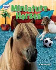 Miniature Horses