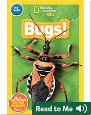 National Geographic Readers: Bugs (Pre-reader)