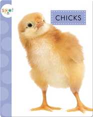 Baby Farm Animals: Chicks