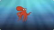 I’m An Octopus