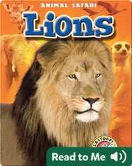Lions: Animal Safari