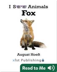 I See Animals: Fox
