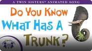 Do You Know What Has a Trunk?