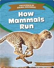 The Science of Animal Movement: How Mammals Run