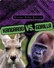 Bizarre Beast Battles: Kangaroo vs. Gorilla