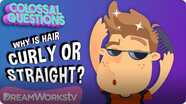 Colossal Questions: Why is Hair Curly or Straight?