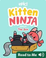 Kitten Ninja Versus the Box