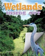 Wetlands Inside Out