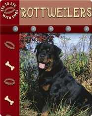 Eye To Eye With Dogs: Rottweilers