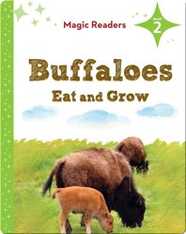 Magic Readers: Buffaloes Eat and Grow