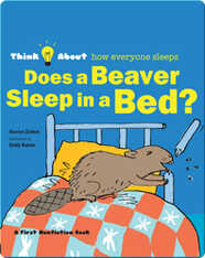 Does A Beaver Sleep In A Bed?