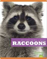 My First Animal Library: Raccoons