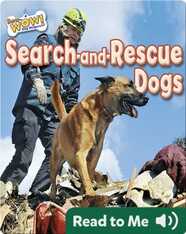 Search-and-Rescue Dogs