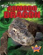 The Komodo Dragon