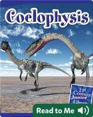 Coelophysis