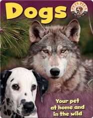 Dogs
