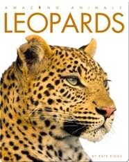 Leopards