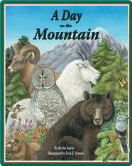 A Day on the Mountains